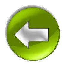 Ein Artikel zur&uuml;ck